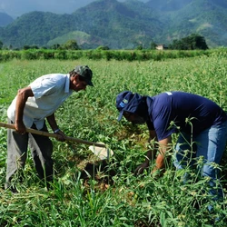 Projeto Trilhar, da Luma Ensino, leva alfabetização ao campo com metodologias ativas e conteúdos inspirados na vida rural