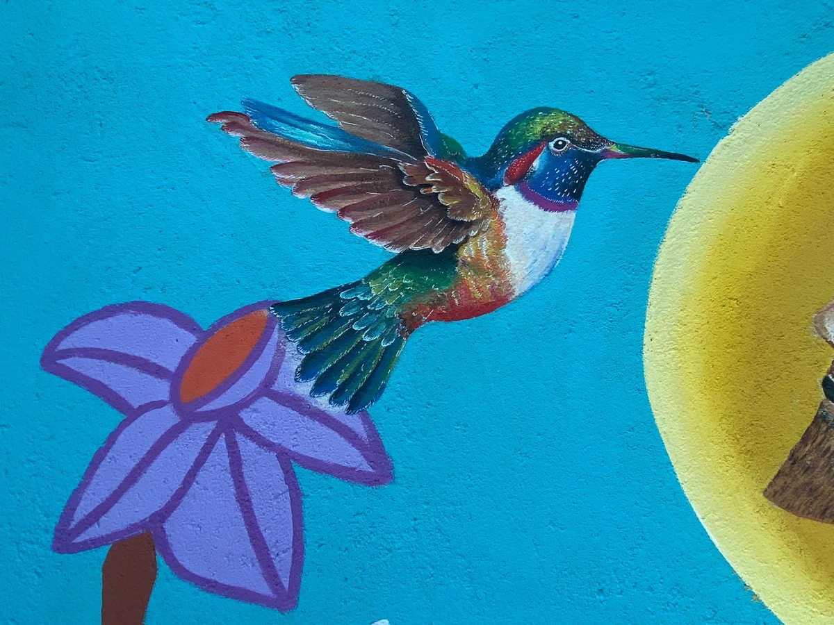 Mural Escadaria Santa Clara.  por Acervo Cores que Acolhem 