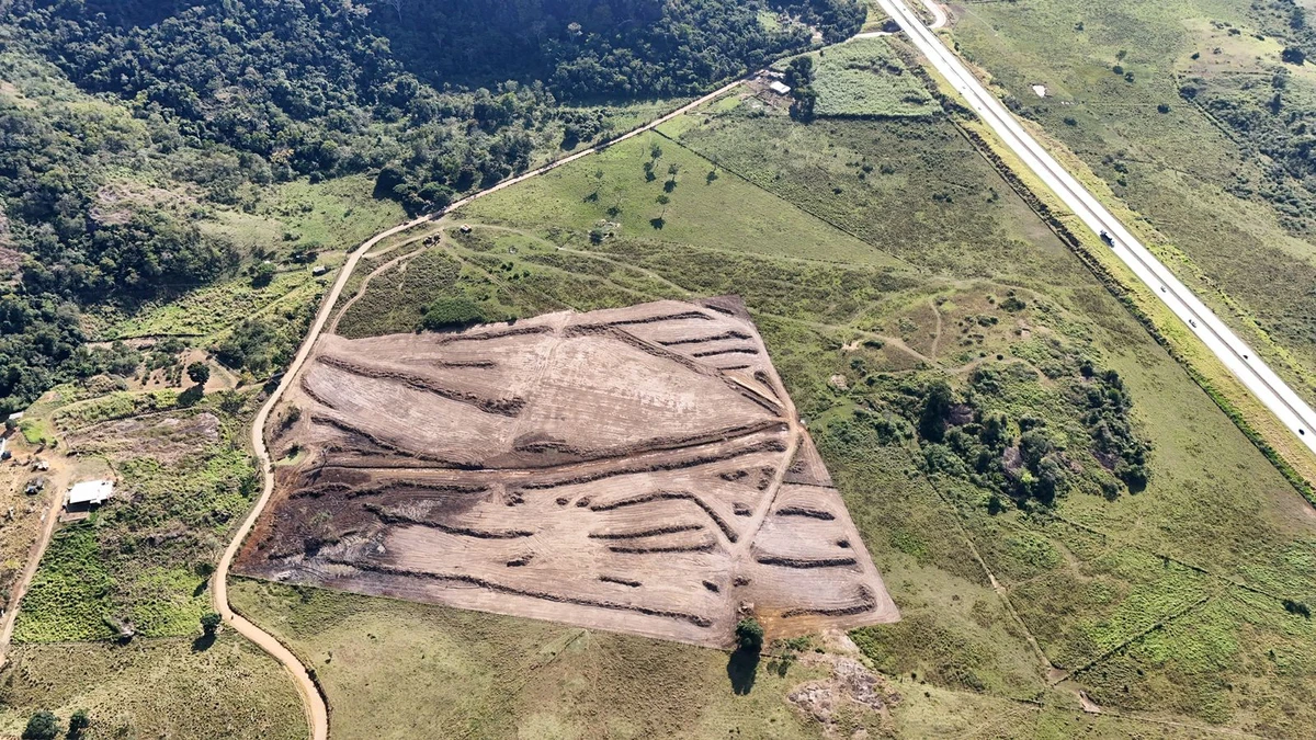 Início da supressão da vegetação no terreno onde ficará o Private Log
