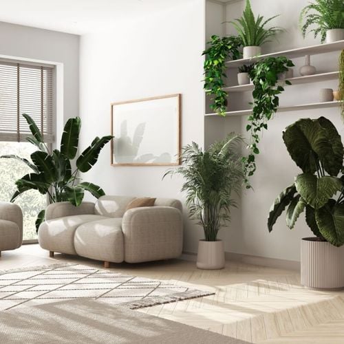 Imagem - Cores neutras e biofilia são tendências para decoração em 2026