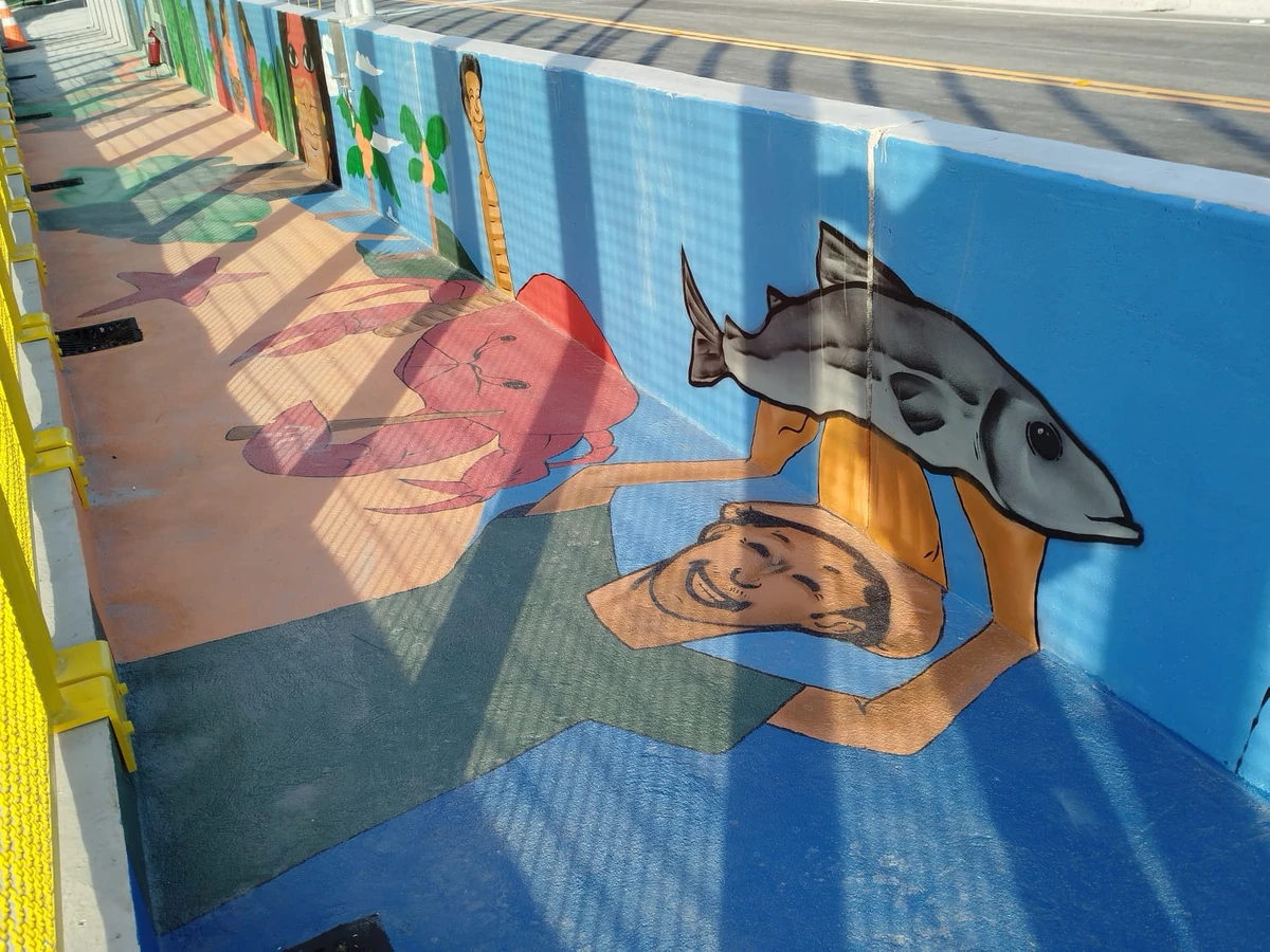 Aracruz ganha novo viaduto sobre a Estrada de Ferro Vitória-Minas