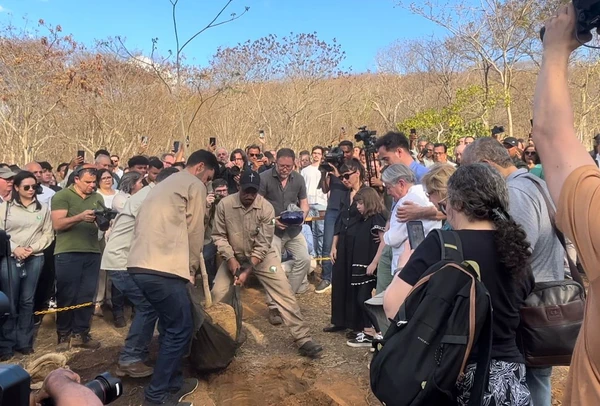 Cinzas de Sebastião Salgado são depositadas em árvore no Instituto Terra