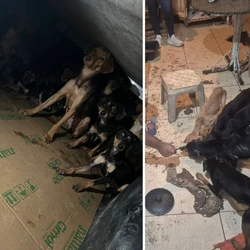 Morador foi encontrado visivelmente debilitado e em condições precárias de saúde e alimentação; ele foi socorrido pelo Samu