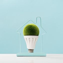 Pequenos ajustes na rotina ajudam a reduzir o consumo de energia e contribuem para a preservação do meio ambiente