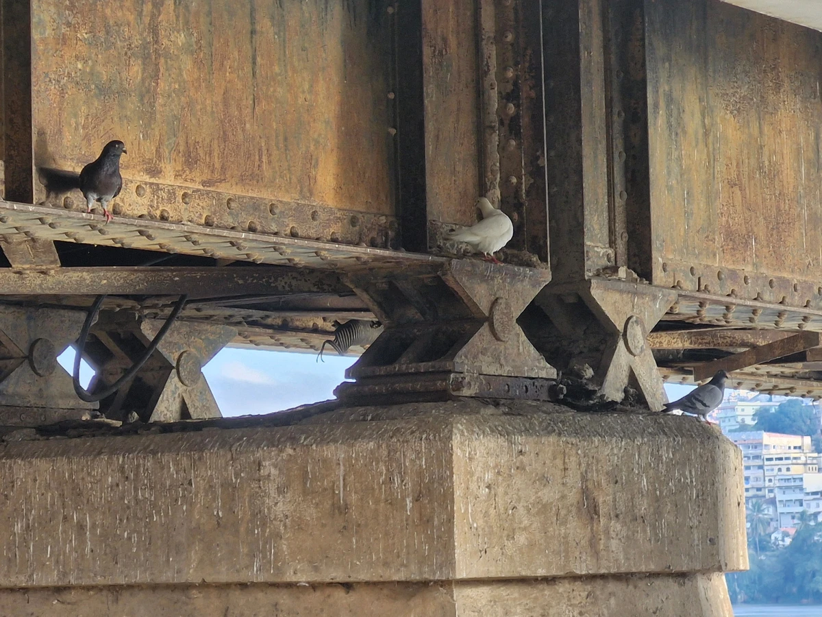 Avaliação do Crea resultou em relatório que aponta para as avarias na Ponte Florentino Avidos, em Colatina por Divulgação/Crea-ES