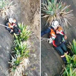 Com técnicas de rapel e escalada, a cachorrinha foi colocada em uma bolsa e resgatada — sem ferimentos, mas muito enfraquecida