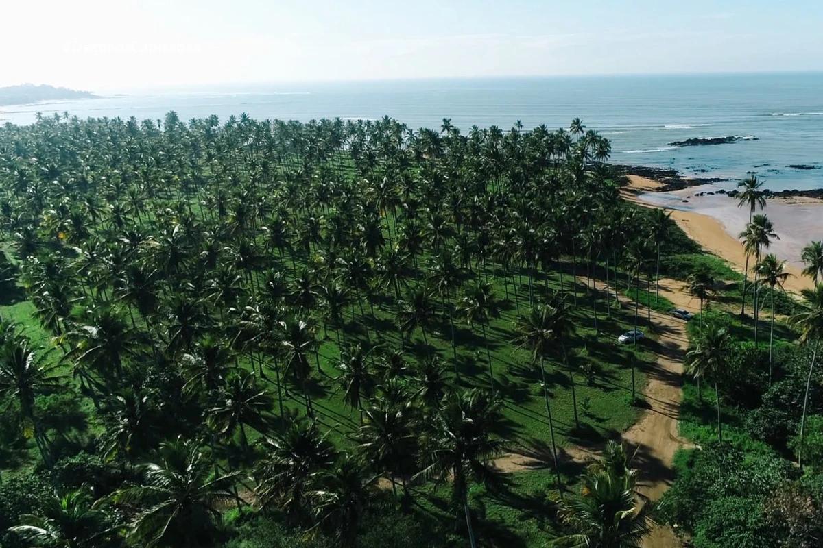 A praia de Coqueiral foi eleita como a mais bonita do Espírito Santo