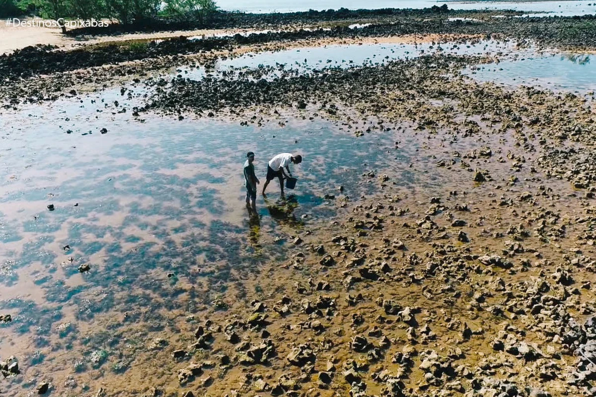 Um atrativo imperdível é a Trilha Marinha do ICMBio, realizada na Estação Biologia Marinha Augusto Ruschi