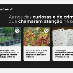 No Espírito Santo, alguns casos se destacaram pela estranheza provocada, ou pela estratégia inusitada para resolver problemas comuns; confira