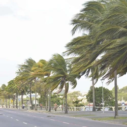 O Inmet explica que pode haver movimentação de dunas de areia sobre construções nas orlas enquanto durar o fenômeno