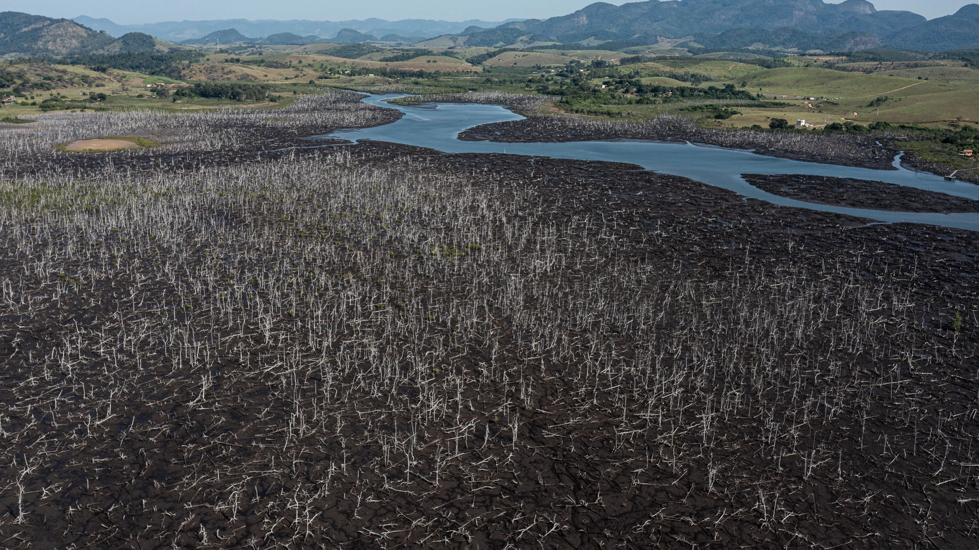 Vista aérea revela o manguezal morto, marcando o impacto das mudanças climáticas na paisagem capixaba