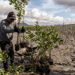 Plano Estadual de Adaptação faz parte do Programa Capixaba de Mudanças Climáticas e conta com dados regionais e também de instituições públicas federais relacionadas à infraestrutura urbana