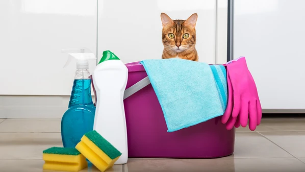 Algumas substâncias podem causar irritações, intoxicações e até problemas neurológicos em animais domésticos