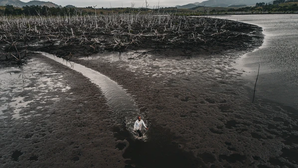 Projeto em Aracruz une conhecimento científico e tecnologia à sabedoria de quem vive do mangue para restaurar região praticamente morta