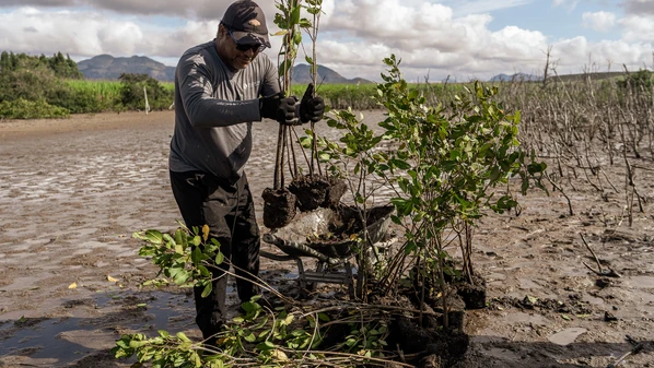 Plano Estadual de Adaptação faz parte do Programa Capixaba de Mudanças Climáticas e conta com dados regionais e também de instituições públicas federais relacionadas à infraestrutura urbana