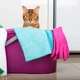 Gato / Casa / Produtos de Limpeza