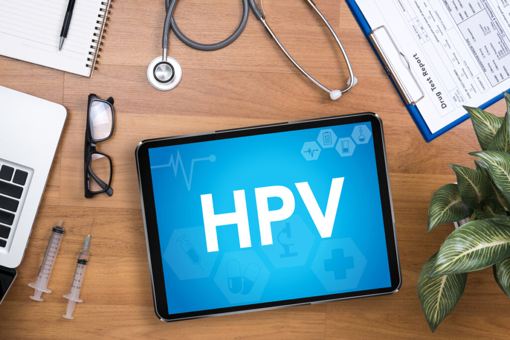 O HPV é um grupo formado por mais de 200 subtipos de vírus (Imagem: Visual Generation | Shutterstock)