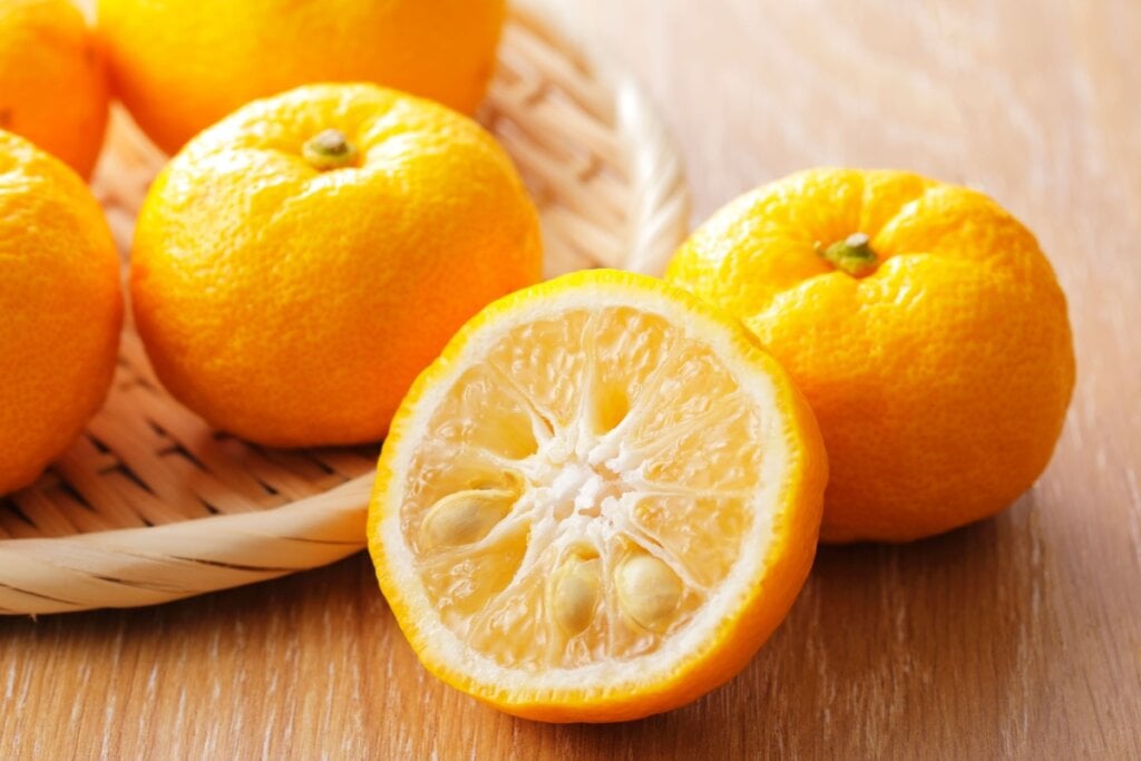 O limão-yuzu pode ser usado em molhos, chás, drinques e coquetéis(Imagem: Nishihama | Shutterstock)