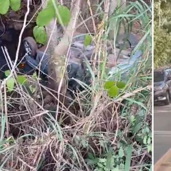 Acidente ocorreu na tarde de quarta-feira (27) após veículo bater no meio-fio e cair em córrego; vítimas foram socorridas pelo Samu e seguem internadas
