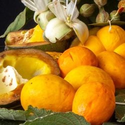 O consumo do fruto típico do cerrado brasileiro pode contribuir para a prevenção de doenças