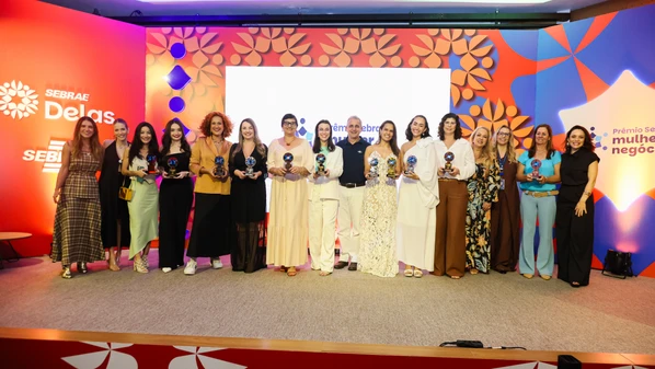 Elas foram classificadas nas seguintes categorias: Microempreendedora Individual (MEI), Pequenos Negócios, Produtora Rural, Ciência e Tecnologia e Destaque Turismo