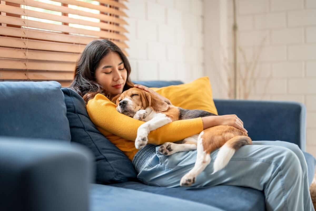 Há nomes perfeitos para cachorros tranquilos (Imagem: Hananeko_Studio | Shutterstock)