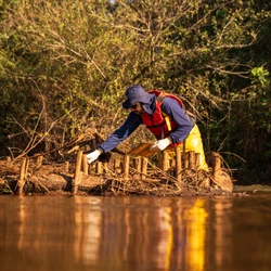 Com o Novo Acordo do Rio Doce, serão destinados R$ 170 bilhões para a reparação dos danos causados pelo rompimento da barragem de Fundão