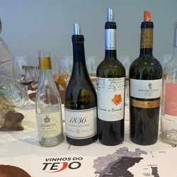 Lista inclui opções a partir de R$ 48,90, e algumas foram apresentadas no evento Vinhos do Tejo Roadshow, que passou por Vitória