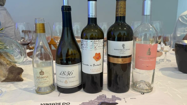 Lista inclui opções a partir de R$ 48,90, e algumas foram apresentadas no evento Vinhos do Tejo Roadshow, que passou por Vitória