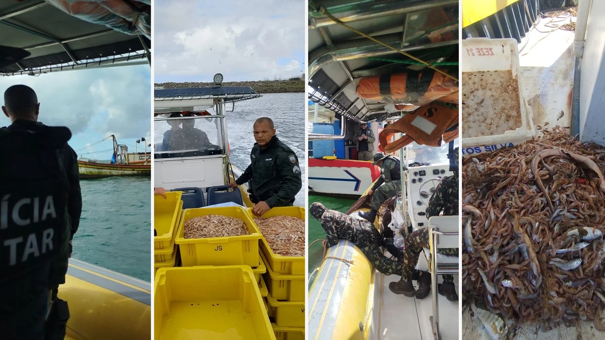 Uma tonelada de camarão é apreendida em Aracruz por pesca ilegal