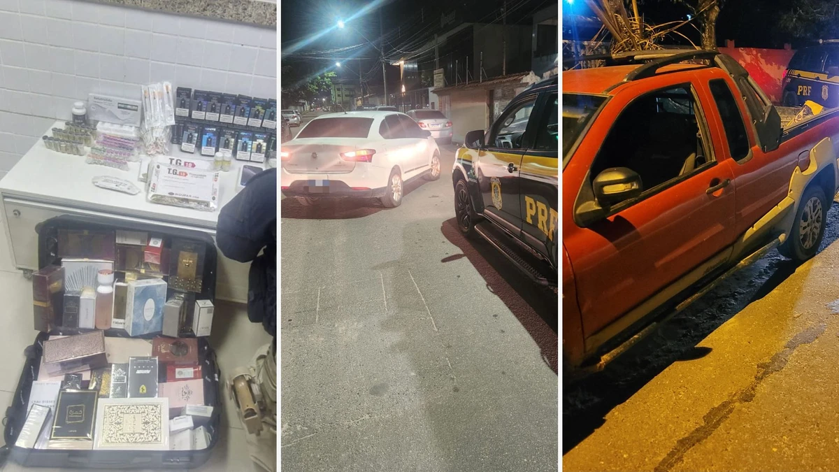 Carros clonados e até anabolizantes são apreendidos no Sul do Estado 