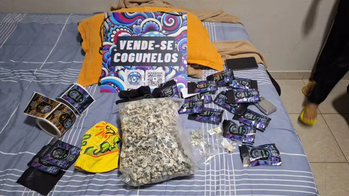 Material encontrado com alvo da operação que investiga organização que vendia cogumelos alucinógenos