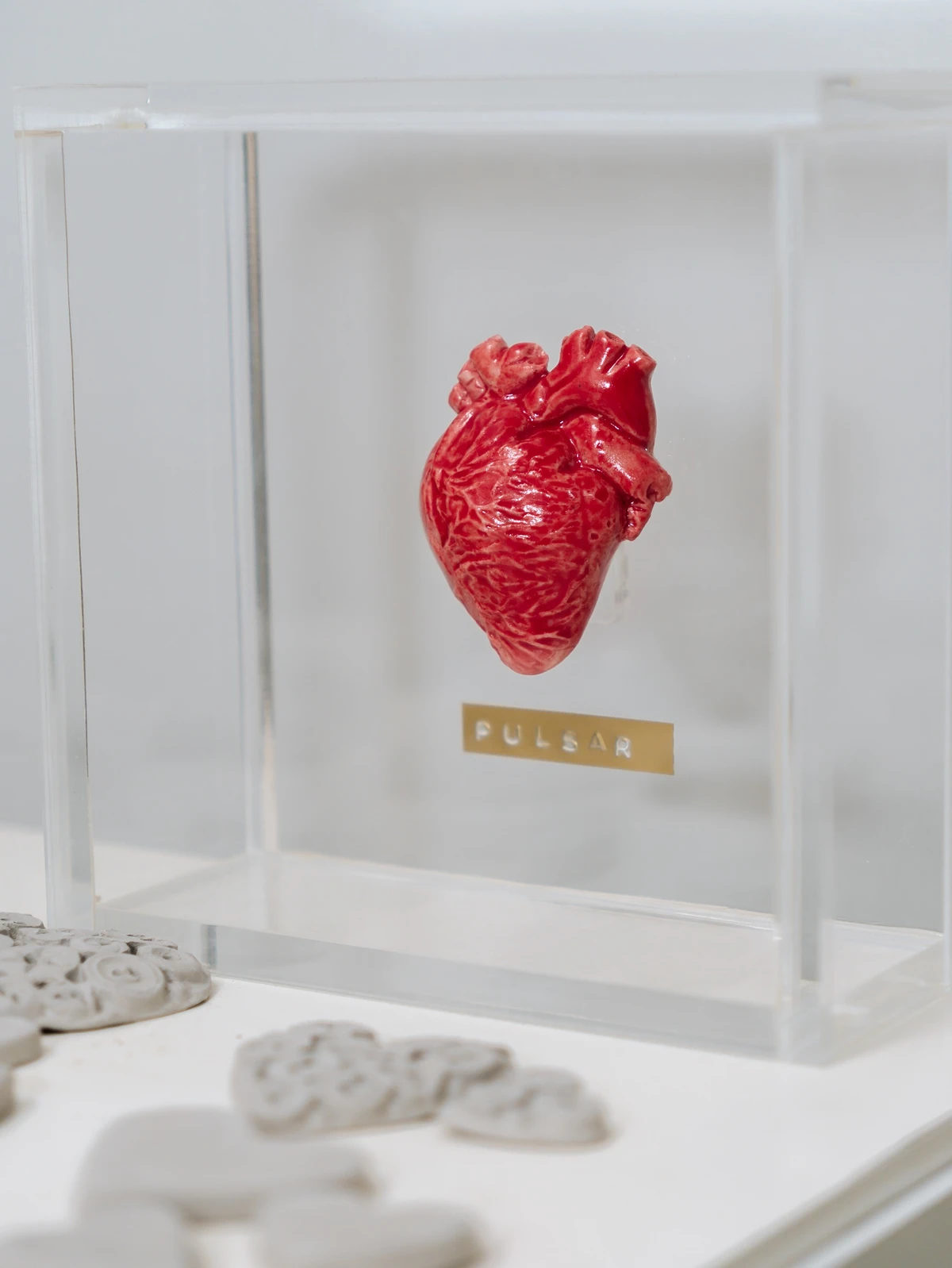 Preview Coleção 'Pulsar' da designer Carla Buaiz 