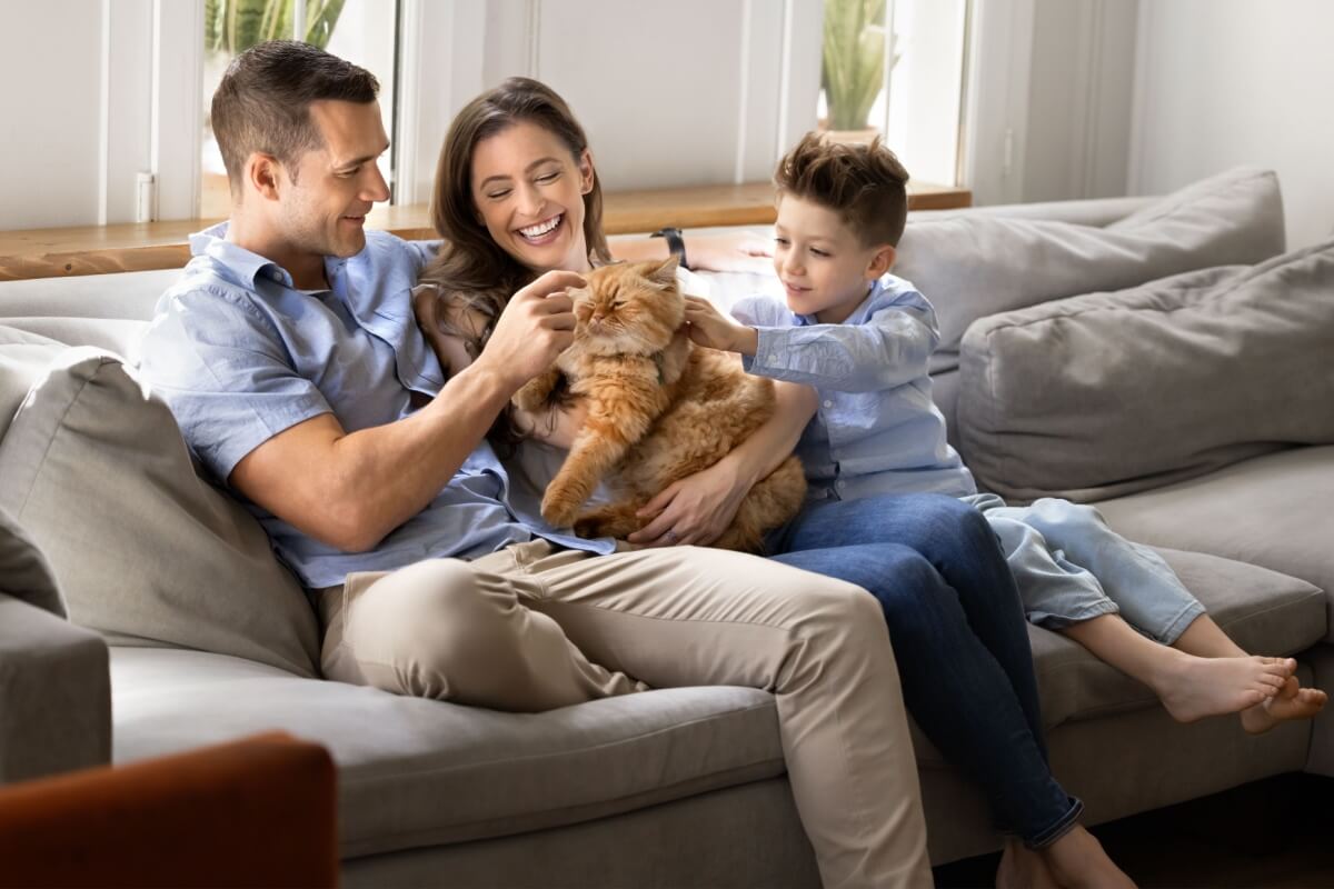 Alguns nomes são perfeitos para gatos carinhosos com os tutores (Imagem: fizkes | Shutterstock)