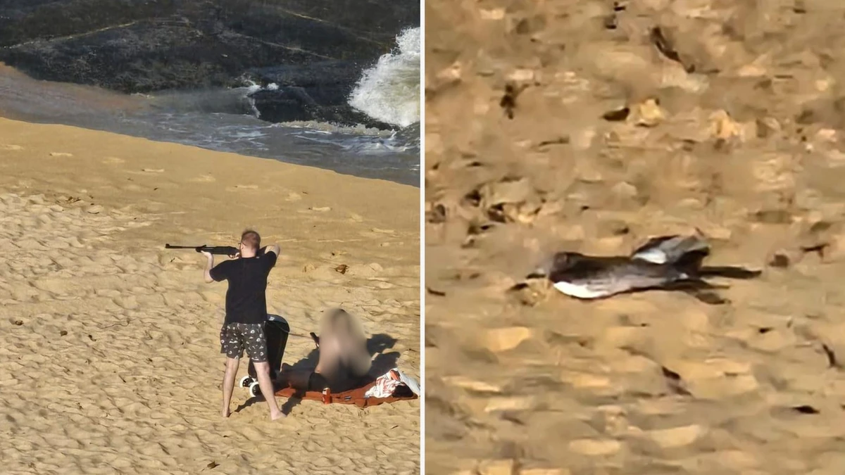 Homem atira em praia, mata pássaro e é preso em Guarapari