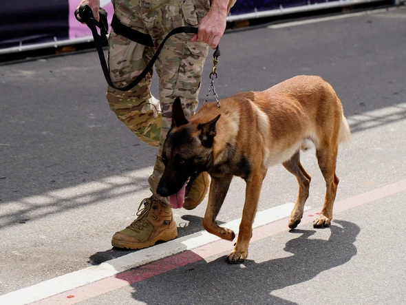 Desfile do 7 de Setembro na Avenida Beira-Mar, em Vitória por Fernando Madeira