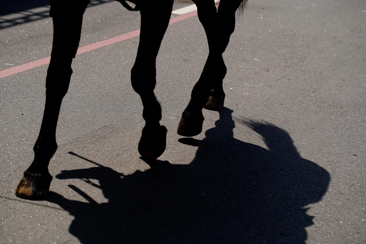 Desfile do 7 de Setembro na Avenida Beira-Mar, em Vitória por Fernando Madeira