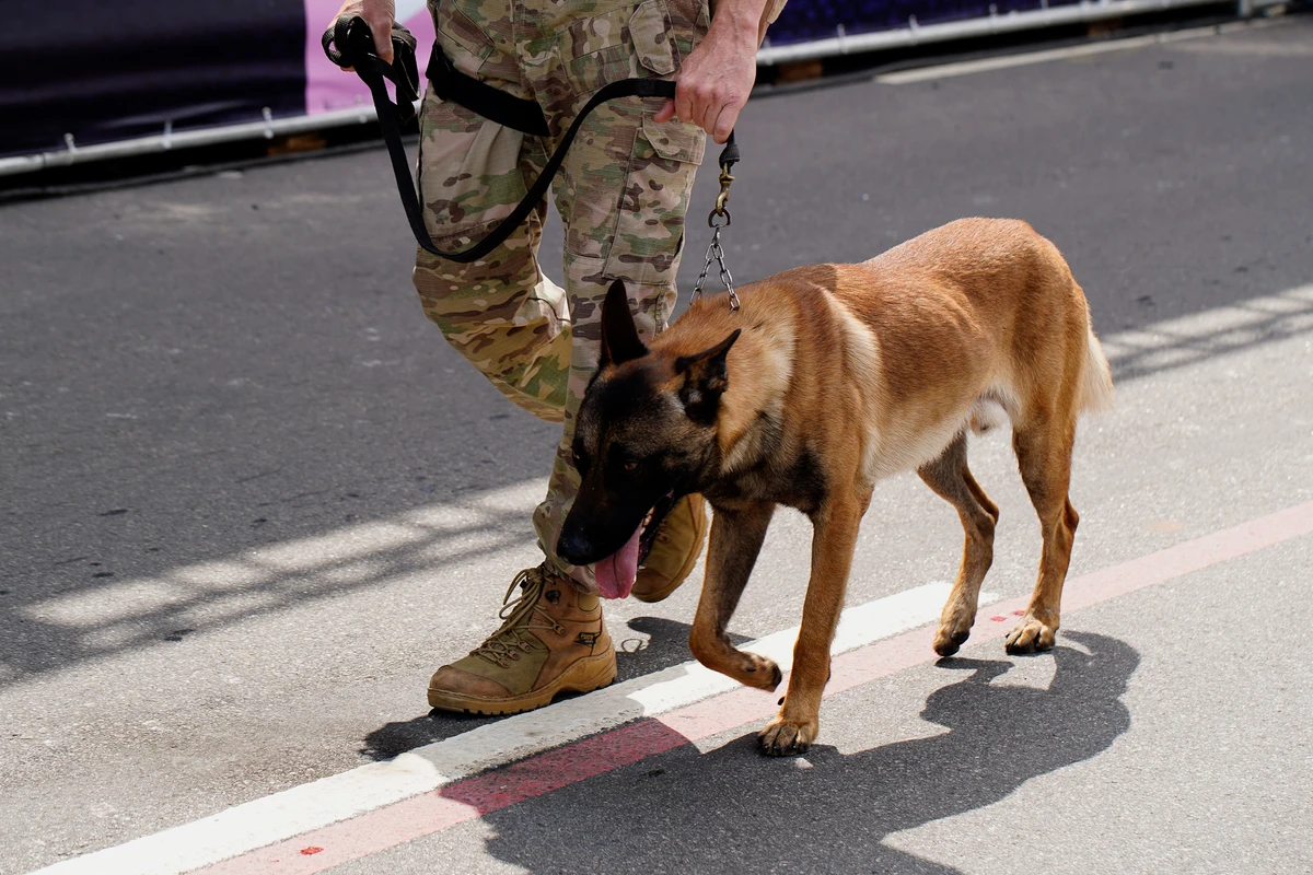 Desfile do 7 de Setembro na Avenida Beira-Mar, em Vitória por Fernando Madeira