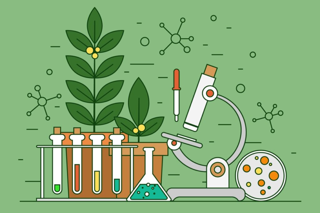 As questões de biologia costumam envolver principalmente os temas de ecologia, genética, anatomia e fisiologia humana (Imagem: Halfpoint | Shutterstock)