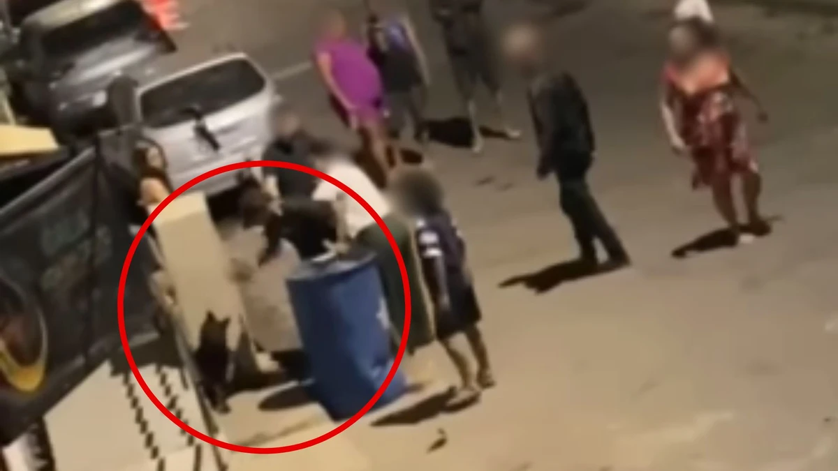 Homem é indiciado por ataque a cão em Vila Velha