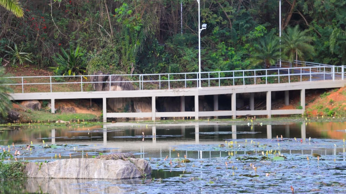 Jardim Botânico da Serra será inaugurado no próximo sábado (13) à noite por Edson Reis