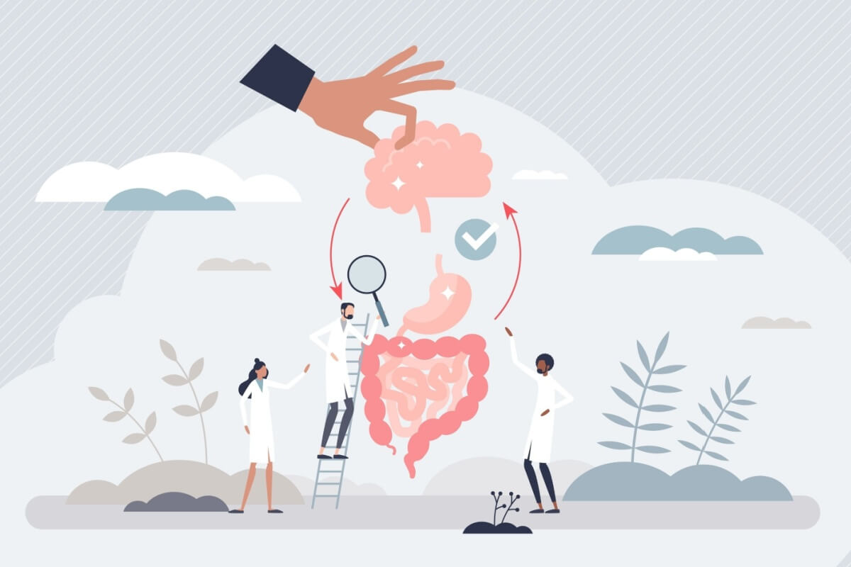 O estresse pode afetar o funcionamento do intestino (Imagem: VectorMine | Shutterstock) 