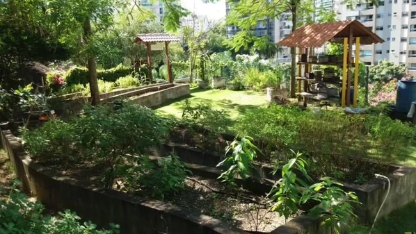 Há caminhos, e eles passam pela reconexão com a natureza. O Japão nos inspira com o Shinrin-yoku, o “banho de floresta”: caminhar devagar entre árvores, tocar a terra com os pés, ouvir o vento