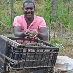 Produtor rural, que conquistou três prêmios em feira internacional de inovação, desenvolveu um peneirador que tem capacidade para limpar 420 kg de café por hora
