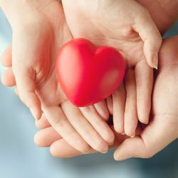 Um maior número de doadores é essencial para ampliar as possibilidades de compatibilidade com pacientes que precisam do transplante
