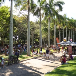 Programação terá serviços de maquiagem e massagem, apresentação de grupo feminino de samba, orientações do Procon, entre outras iniciativas