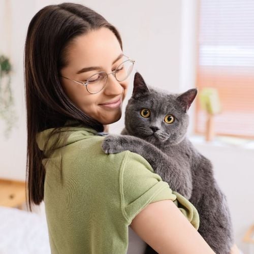 Imagem - 12 nomes perfeitos para gatos sociáveis