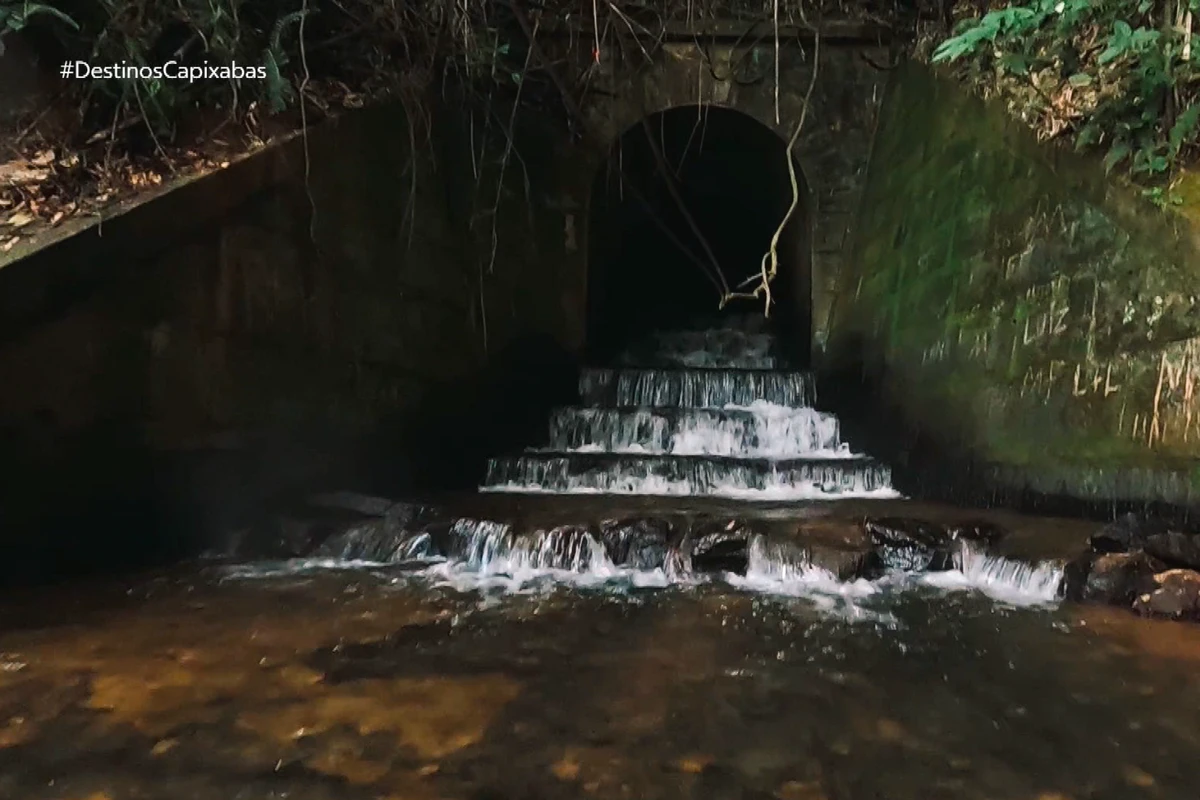 Alfredo Cahves é um destino para todos os públicos