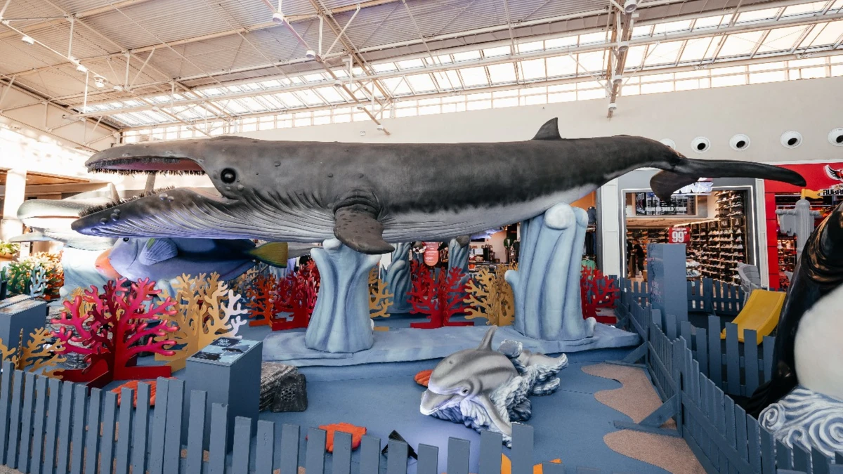 Experiência educativa e encantadora para crianças de todas as idades por Mariane Gonçalves/ Shopping Praia da Costa