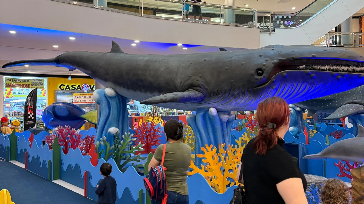 Instalações da exposição "O Fantástico Mundo Marinho" por Mariane Gonçalves/ Shopping Praia da Costa